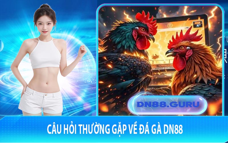 Câu hỏi thường gặp về đá gà DN88