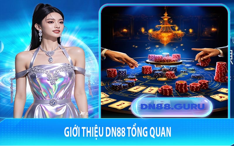Giới thiệu DN88 tổng quan