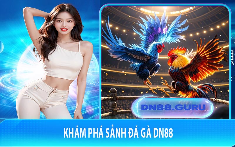 Khám phá sảnh đá gà DN88