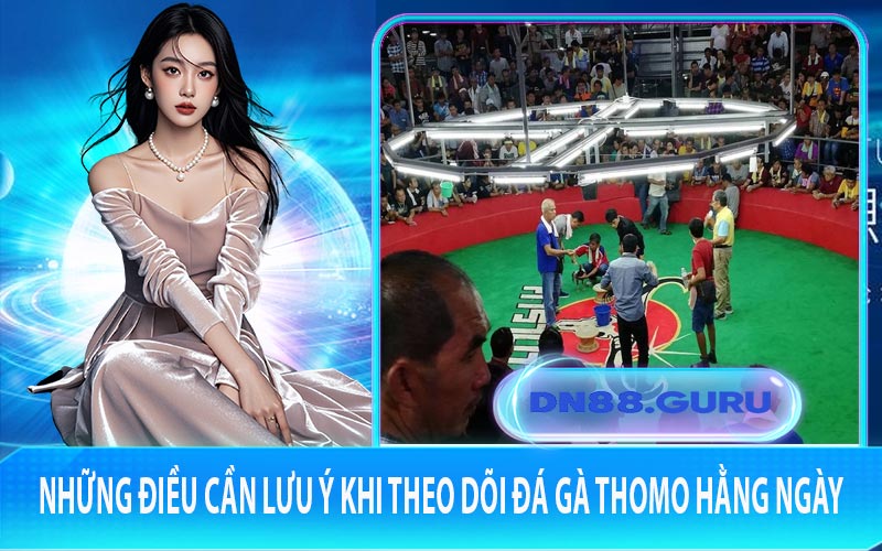 Những điều cần lưu ý khi theo dõi đá gà Thomo hằng ngày