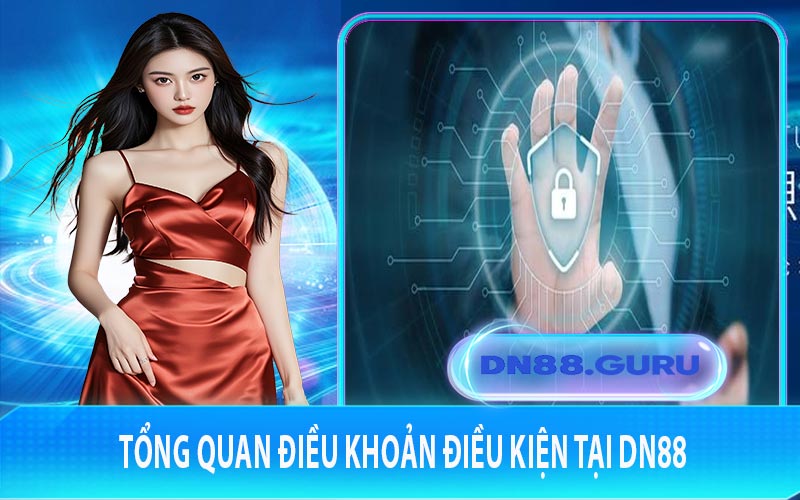 Tổng quan điều khoản điều kiện tại DN88